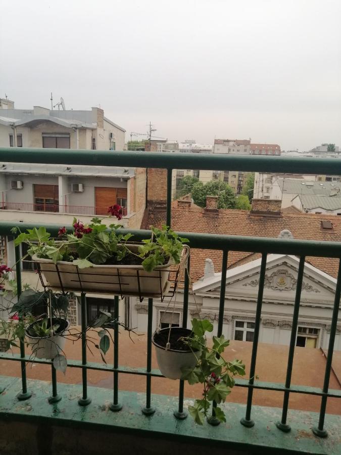 Apartman Centar Beograd Zewnętrze zdjęcie